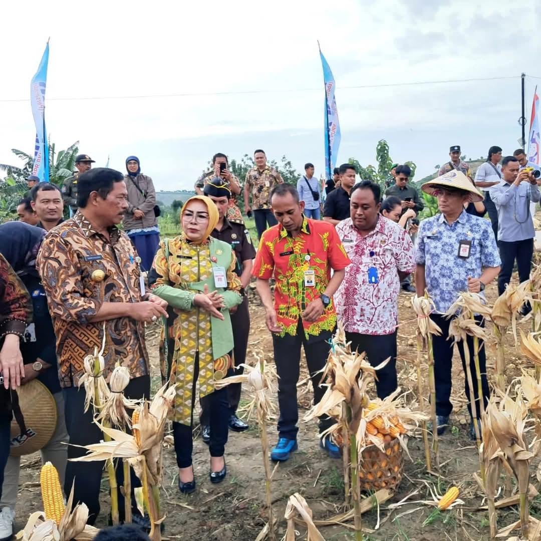Pj Gubernur Jawa Tengah Panen Jagung di Kabupaten Grobogan