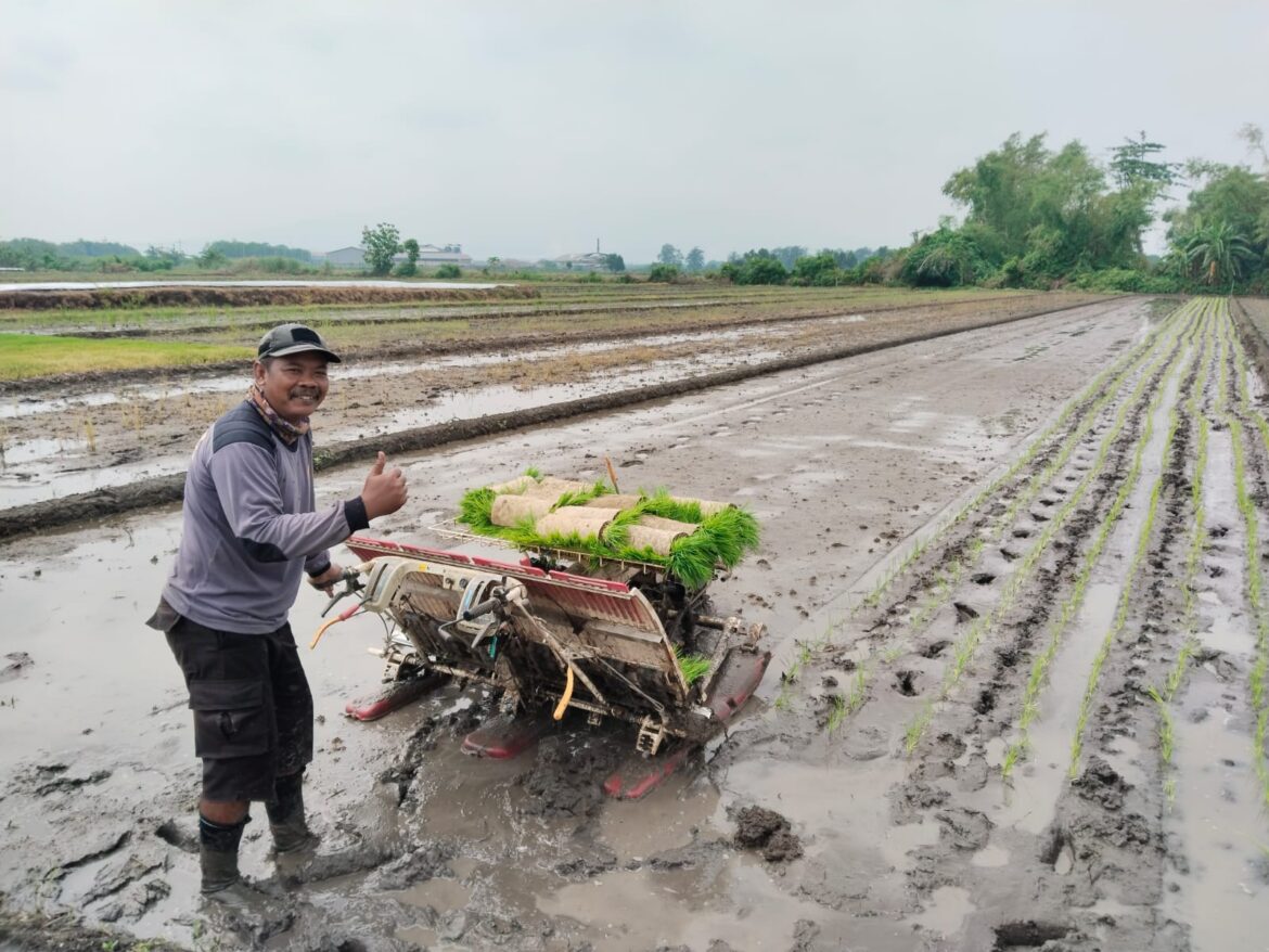 BHABINKAMTIBMAS POLRES MOJOKERTO PILIH BERTANI USAI BERDINAS.