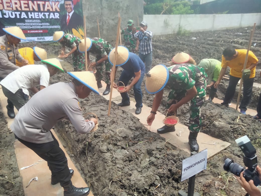 Dukung Program Pemerintah, Dandim Surabaya Utara Hadiri Penanaman Jagung Serentak
