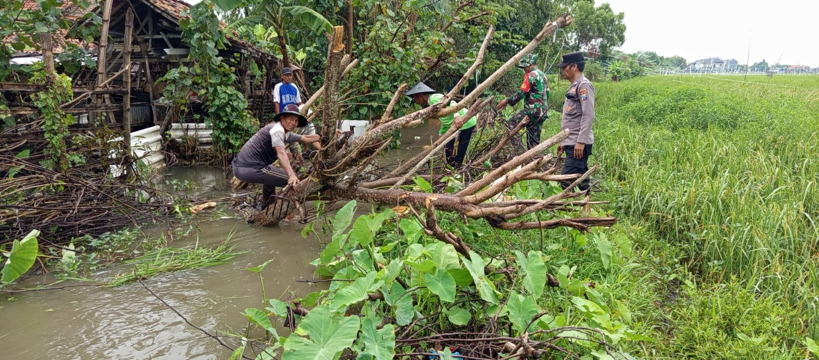 Dukung para Petani, Babinsa Bersihkan Saluran Irigasi