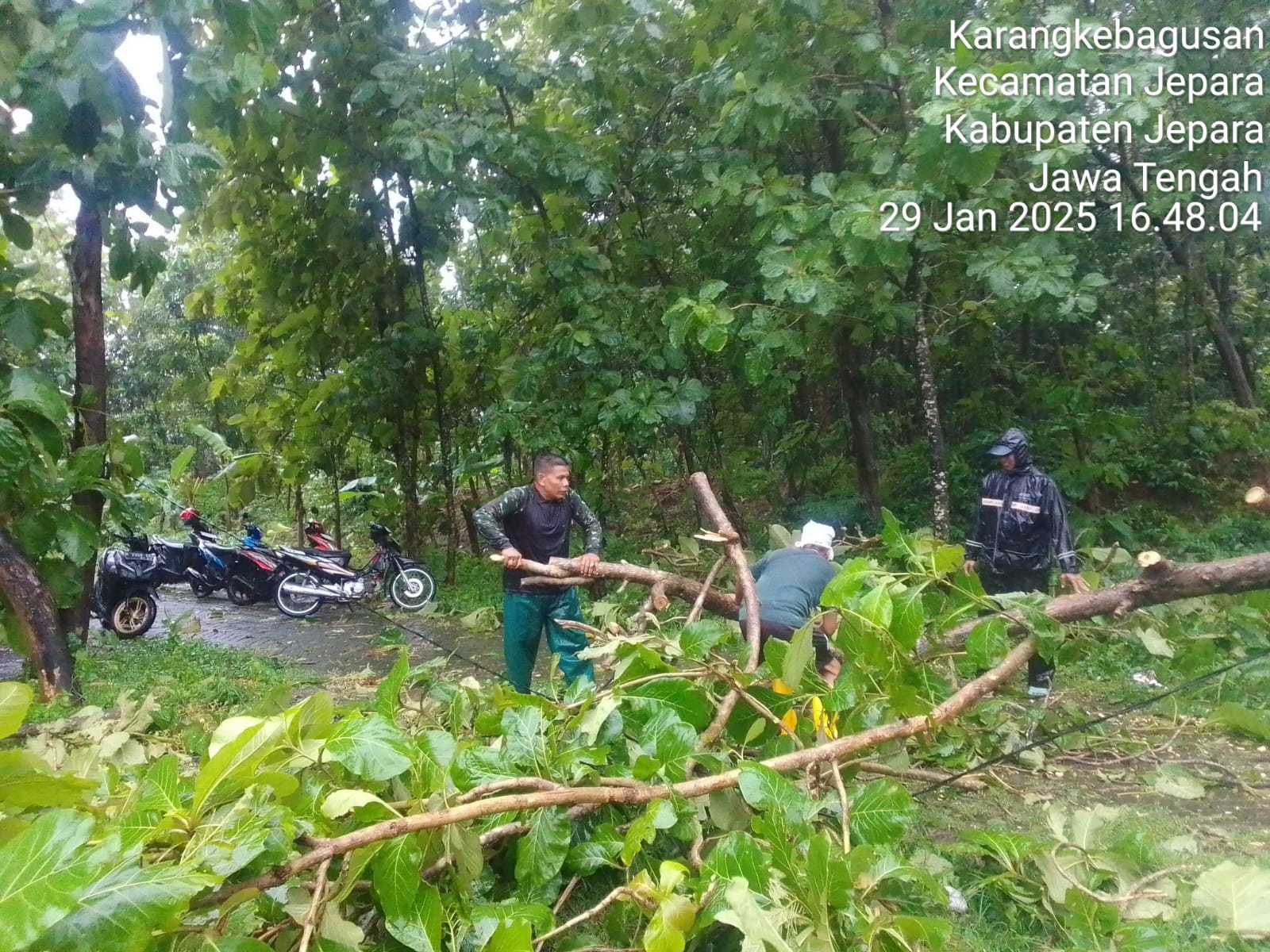 Hujan Deras Akibatkan Bencana di Beberapa Wilayah Jepara, Babinsa dan Anggota Kodim 0719/Jepara Sigap Bantu Penanganan