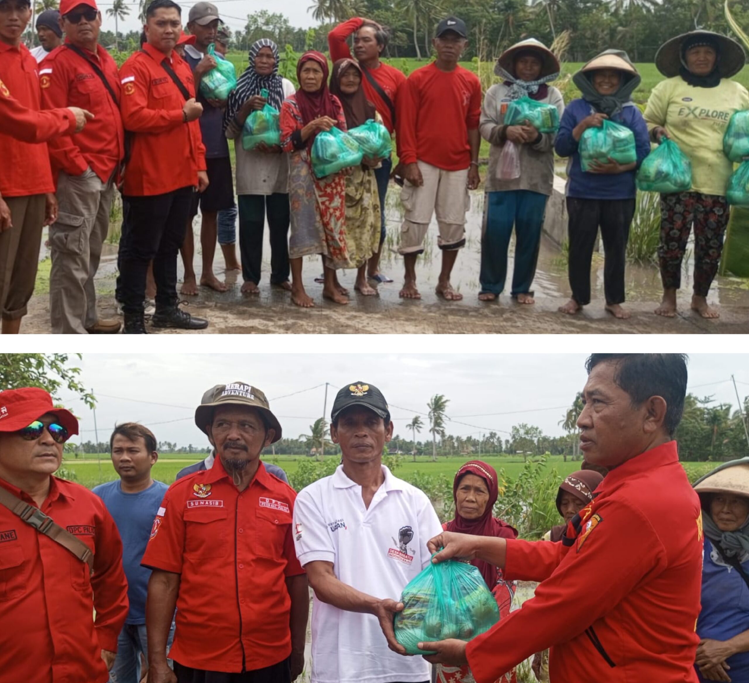 Solidaritas Meringankan Beban Korban Banjir, Ormas PETIR  Lamsel Salurkan Bantuan Ke Warga Pulau Tengah Palas