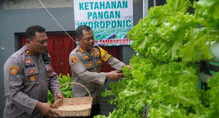 Surprise..!! Bisa Panen Sayur Hidroponik di Polsek Tambaksari,Begini Reaksi Kapolrestabes Surabaya