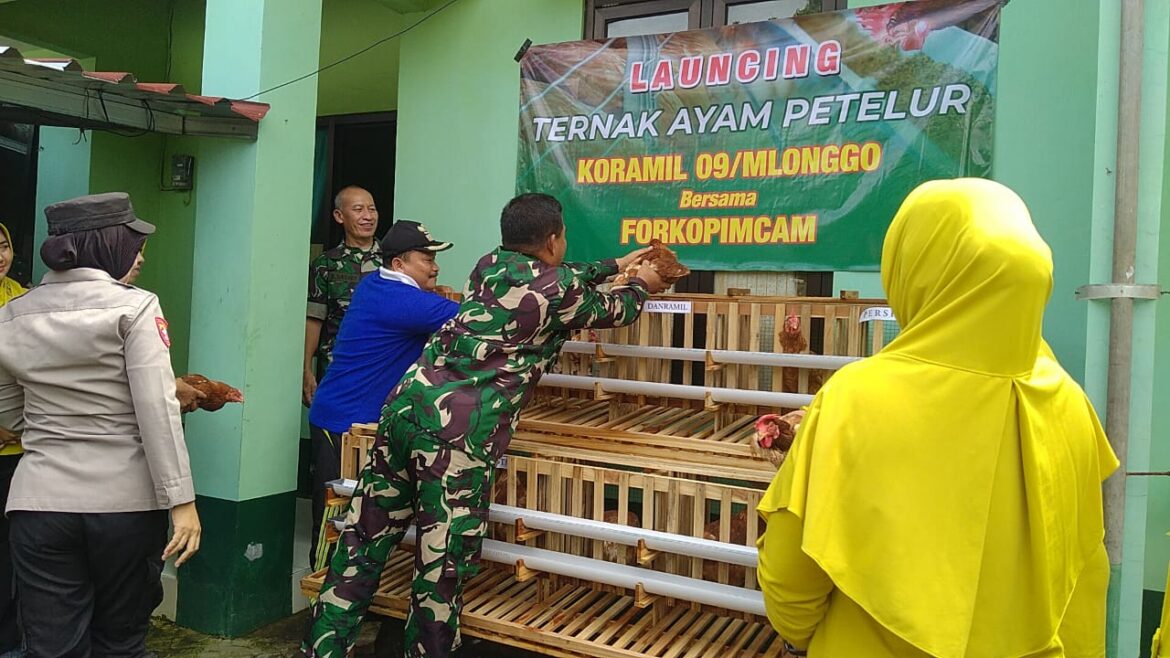 Danramil 09 / Mlonggo, Kodim 0719 / Jepara Bersama Forkopimcam Gelar Launching Pelepasan Ayam Petelur di Koramil 09 / Mlonggo