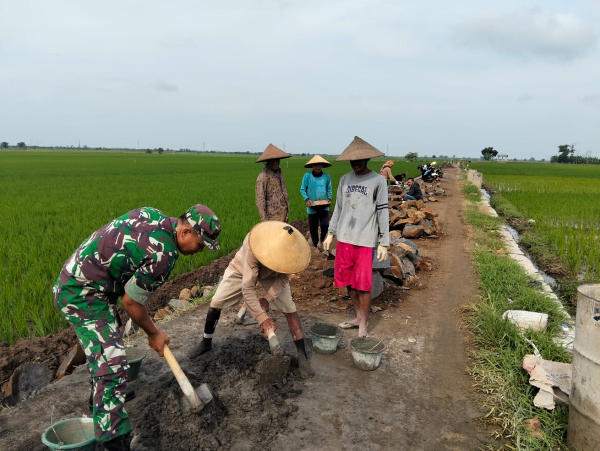 Babinsa Kodim 0719 / Jepara Bersama Warga Gotong Royong Bangun Talud di Sawah Blok Benad, Desa Sidigede