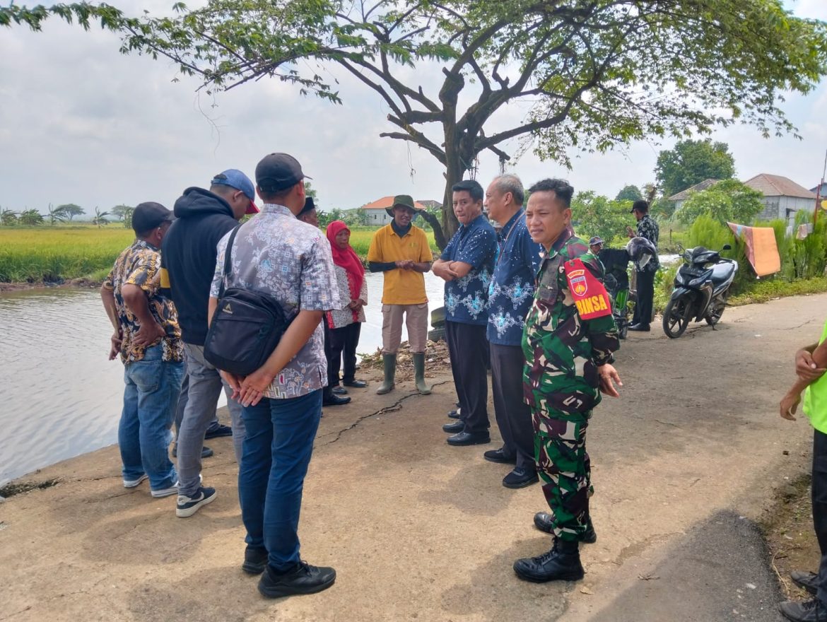 Babinsa Kodim 0719 / Jepara Dampingi Tim Bulog Tinjau Lokasi Serapan Gabah di Desa Karangaji