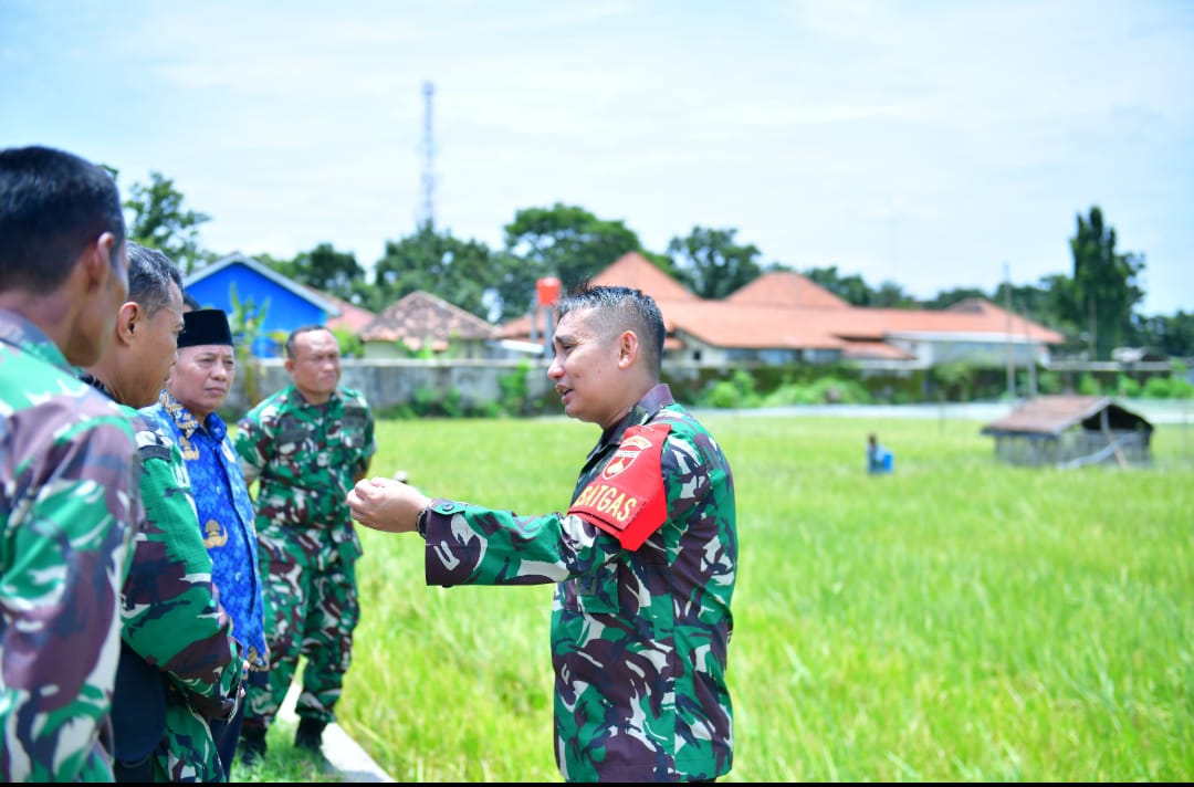 Di Sela Kesibukan TMMD, Dandim 0719 / Jepara Cek Sawah yang Akan Panen di Kecamatan Welahan