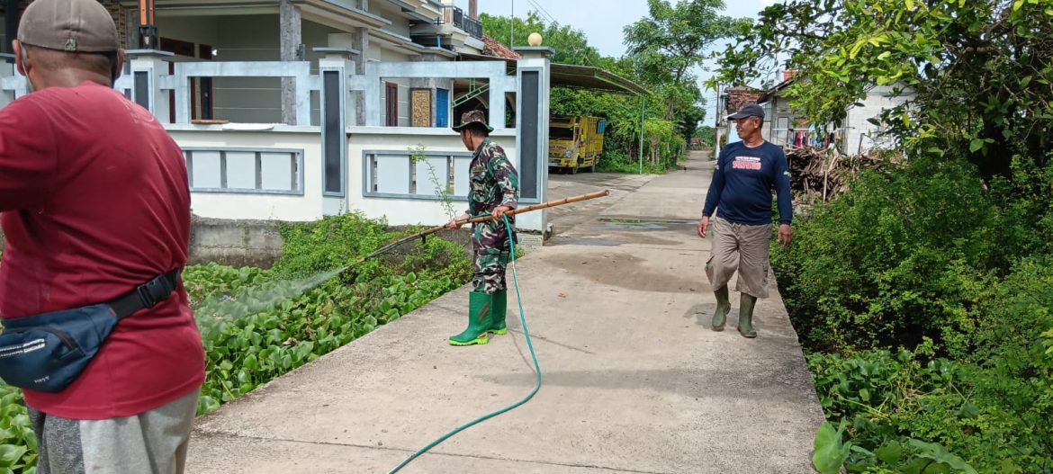 Anggota Koramil Welahan, Kodim 0719 / Jepara Laksanakan Karya Bakti dan Penyemprotan Enceng Gondok di Desa Guwosobokerto