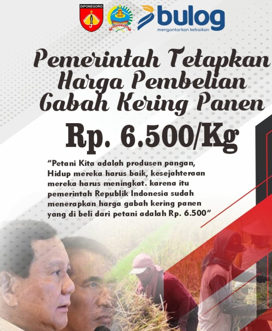 Kodim 0719 / Jepara Lakukan Pendampingan Panen Padi dan Pastikan Harga Gabah Kering Sesuai Instruksi Presiden