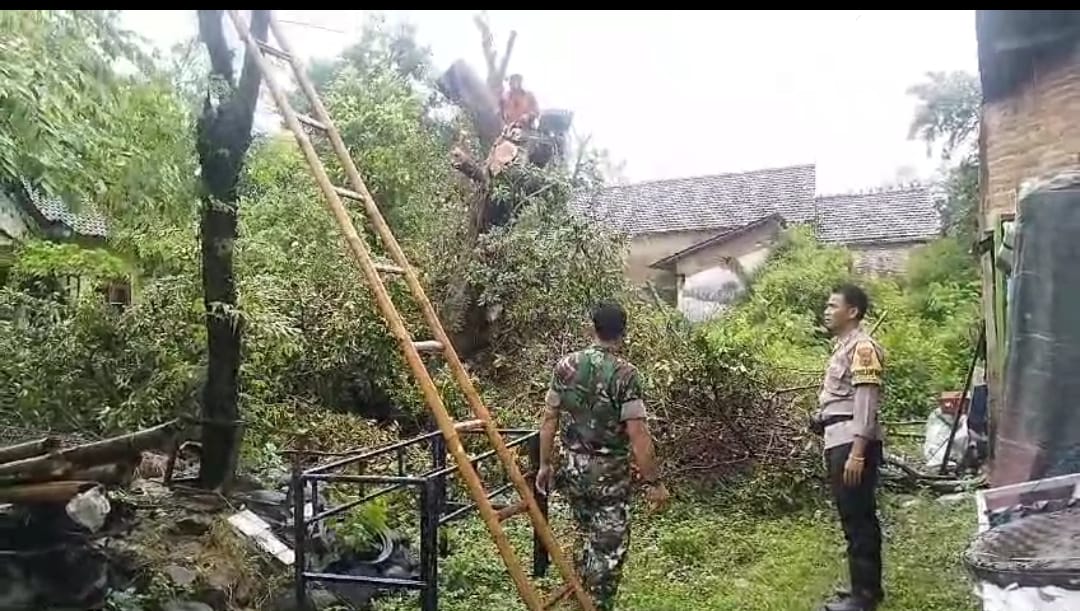 Babinsa Kodim 0719/Jepara Bersama Bhabinkamtibmas dan Perangkat Desa Evakuasi Pohon Hampir Roboh di Nalumsari