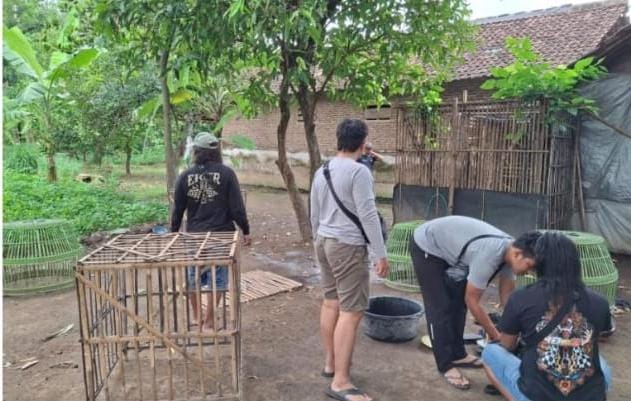 Polres Nganjuk Gerebek Lokasi Sabung Ayam di Baron