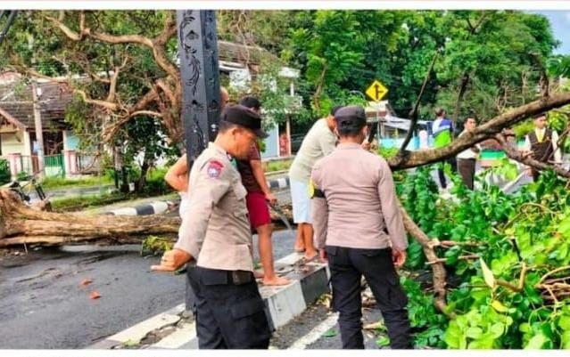 Polsek Loceret Evakuasi Pohon Tumbang di Candirejo, Kapolres Nganjuk Apresiasi Sinergi Warga dan Petugas