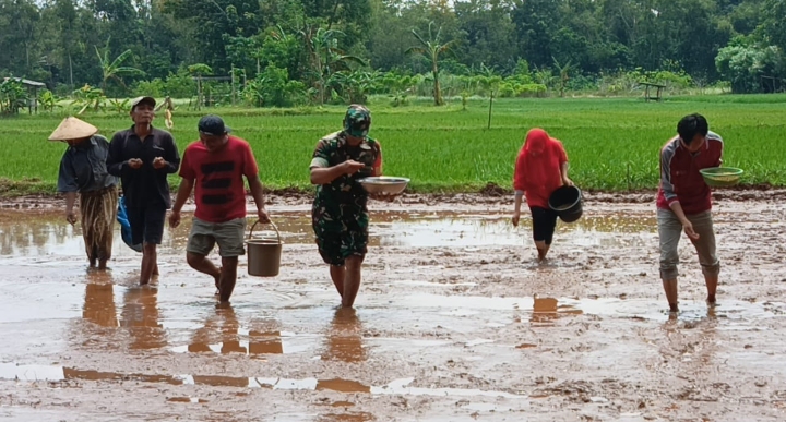 Serda Rasukdin terjun Bantu tanam padi bersama warga binaanya