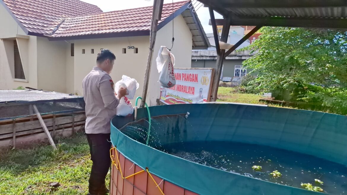 Polsek Indralaya Laksanakan Monitoring dan Pemeliharaan Ternak Ikan dalam Program Ketahanan Pangan