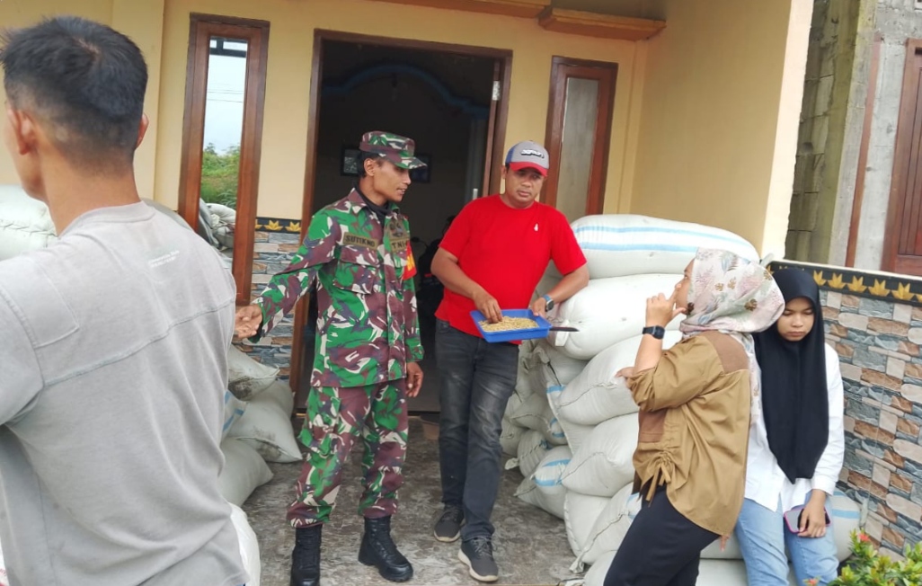 Babinsa Kodim 0719 / Jepara Sertu Sutikno dan PPL Kecamatan Rudianto Lakukan Pendampingan Hasil Panen ke Bulog
