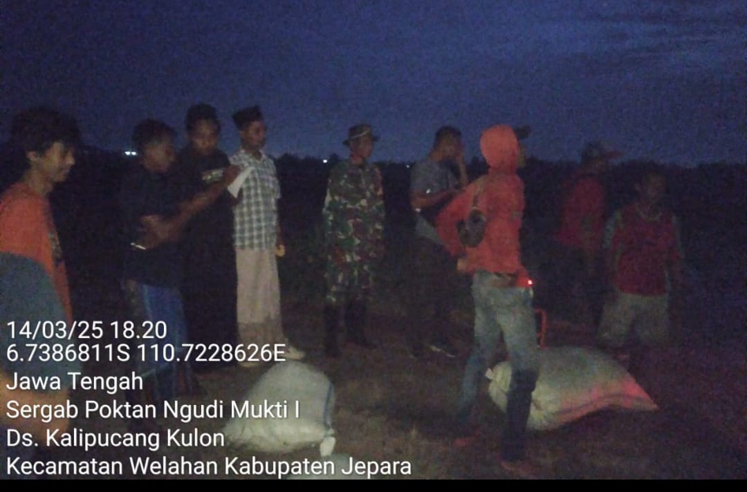 Babinsa Kodim 0719 / Jepara Sertu Heri Purwanto bersama PPL Kecamatan Welahan Laksanakan Pendampingan SerGab ke Bulog di Desa Kalipucang Kulon