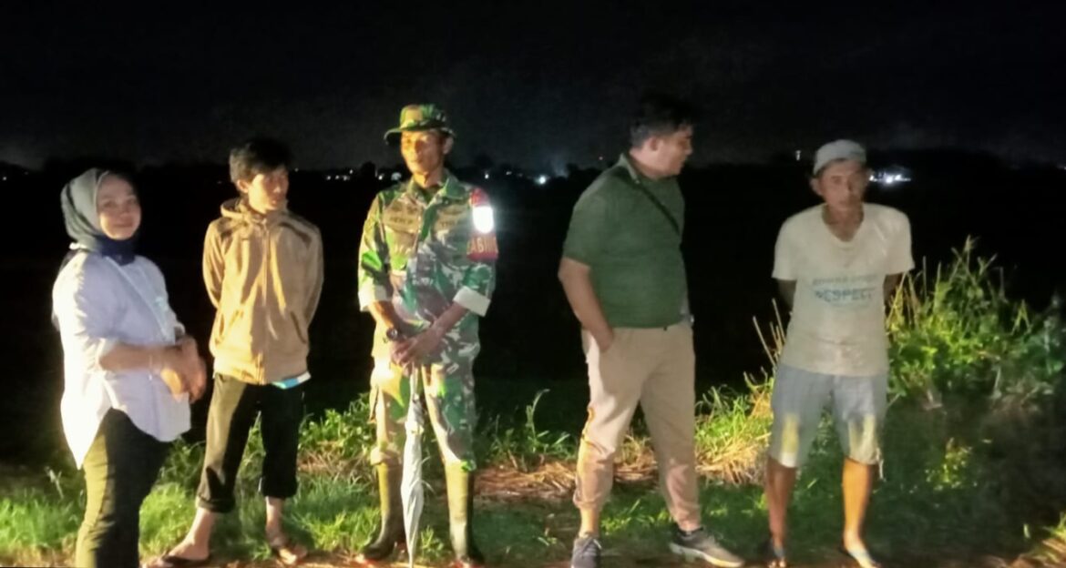 Babinsa Kodim 0719 / Jepara Laksanakan Pendampingan Hasil Panen Bersama PPL Kecamatan
