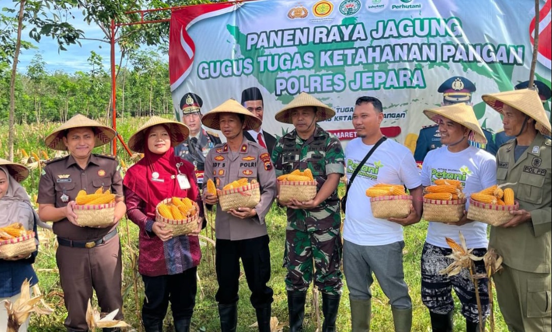 Kasdim 0719 / Jepara Mayor Arm Sarifudin Widiyanto Hadiri Panen Raya Jagung Gugus Tugas Ketahanan Pangan Polres Jepara