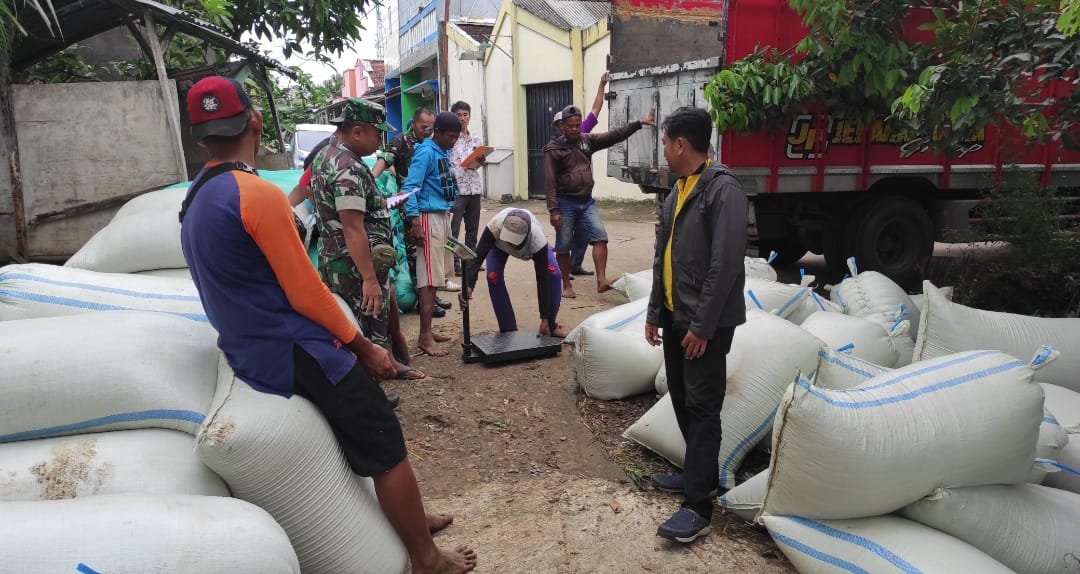 Penyerapan Gabah di Desa Sengonbugel di Dampingi Babinsa Kodim 0719 / Jepara