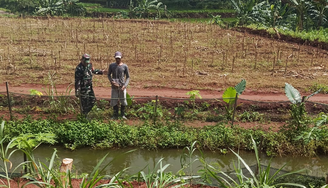 Babinsa Desa Gelang, Serma Rudi Laksanakan Pemantauan Wilayah dan Komsos dengan Pemilik Budidaya Ikan Nila