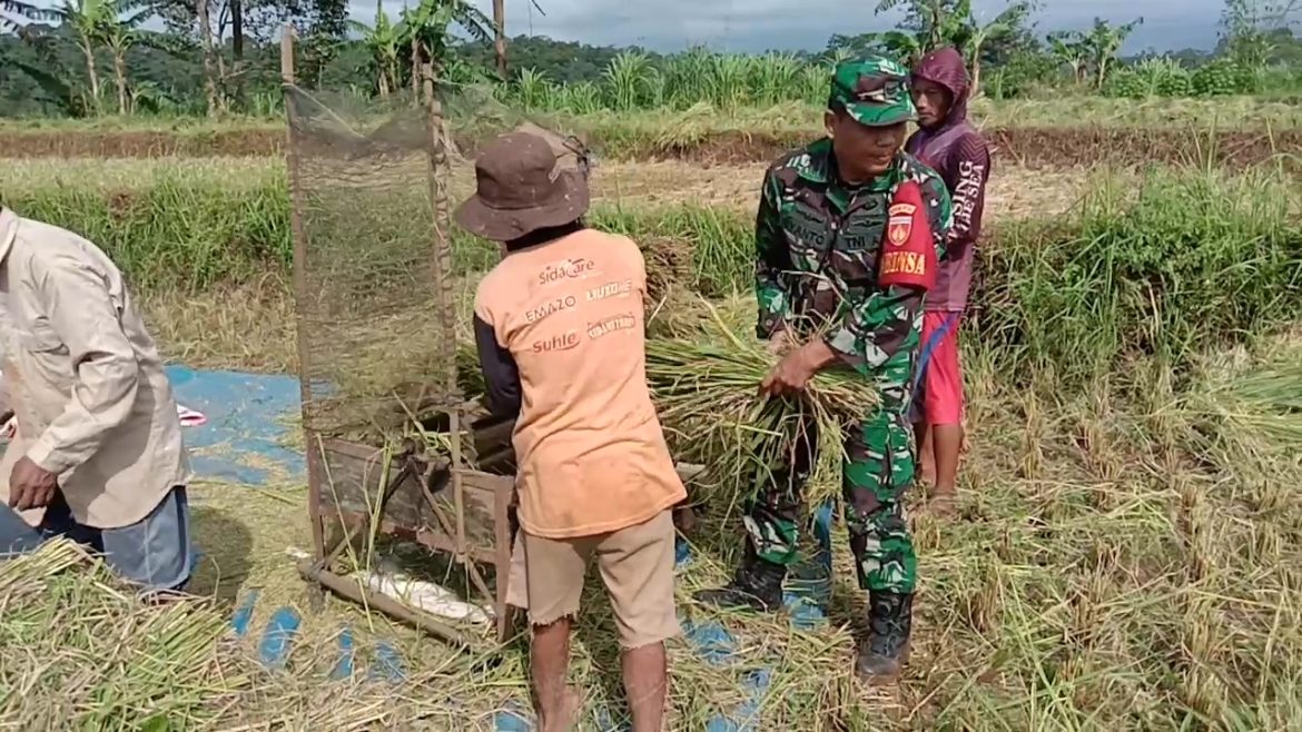Apresiasi Dandim Terhadap Para Babinsanya, “Jalan-jalan ke Bangkalan, Pulau Madura Nuansa Religi. Walaupun Besok Lebaran,Babinsa Kodim Jepara Dampingi Panen Petani
