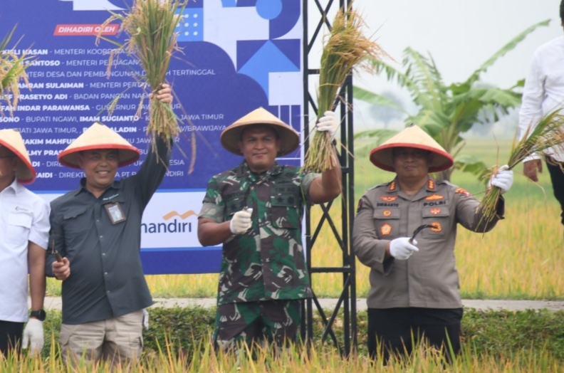 Tingkatkan Produksi Padi di Ngawi, Danrem Fokus Tingkatkan LTT