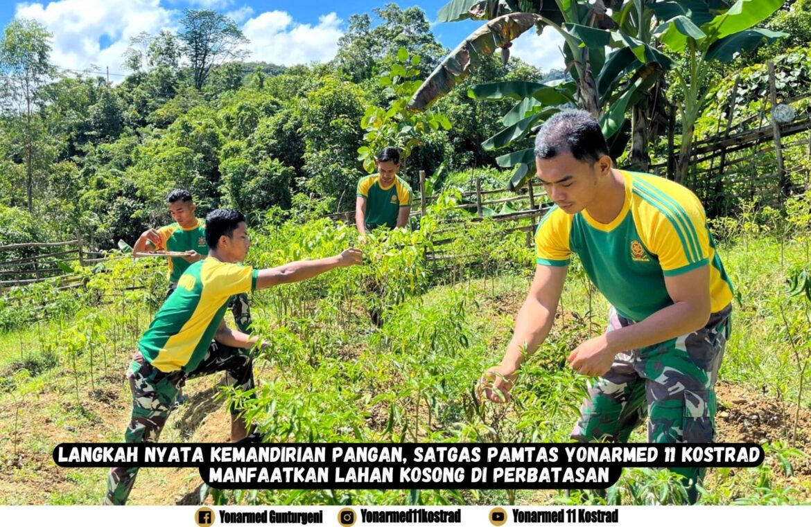 Langkah Nyata Kemandirian Pangan, Satgas Pamtas Yonarmed 11 Kostrad Manfaatkan Lahan Kosong di Perbatasan