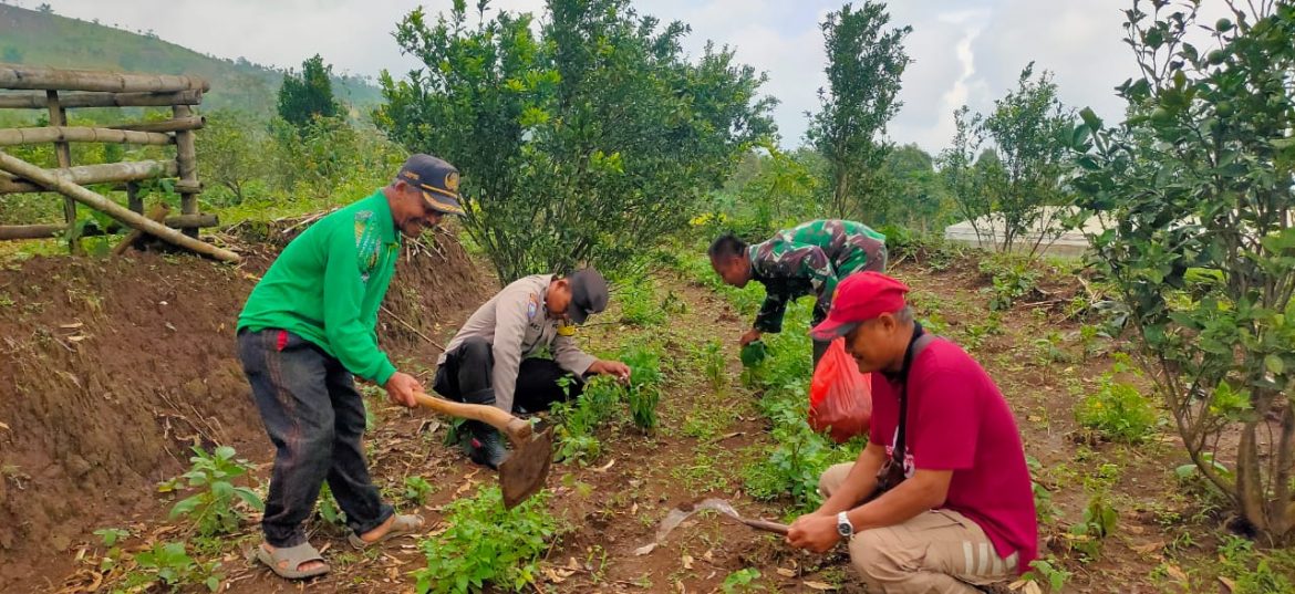 Polsek Ngetos Dukung Ketahanan Pangan dengan Pemanfaatan Lahan Perkarangan