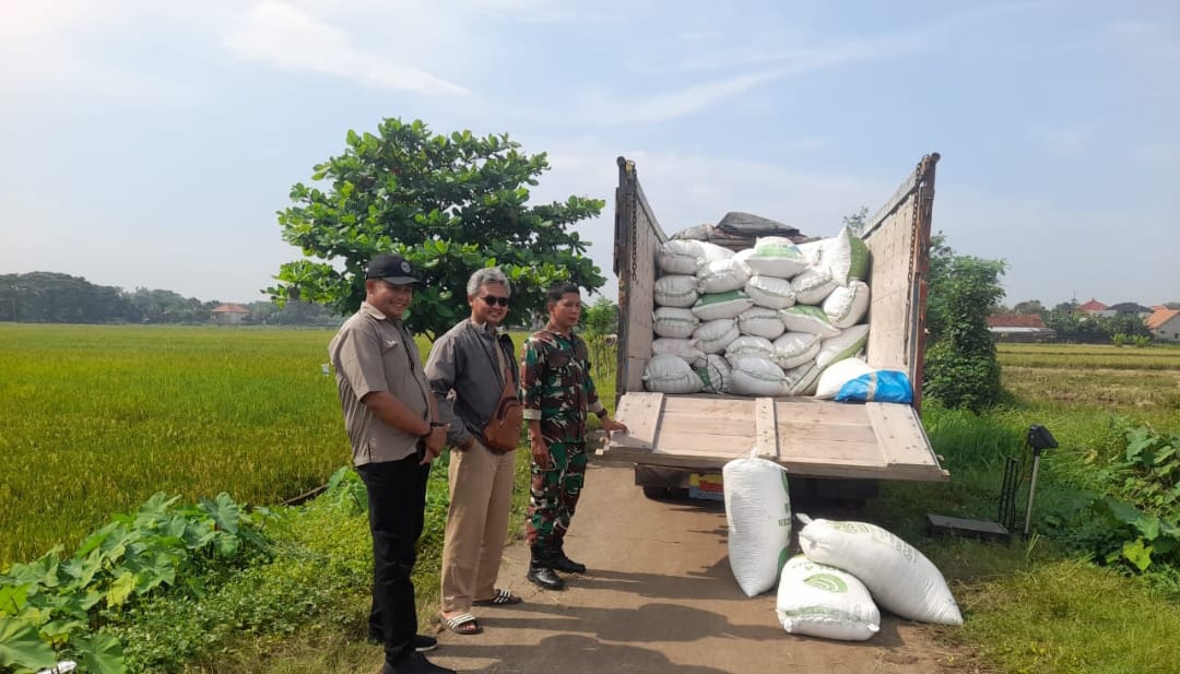 Babinsa Pecangaan Wetan Dampingi Kegiatan SERGAB di Lahan Milik Petani Desa Pecangaan Wetan