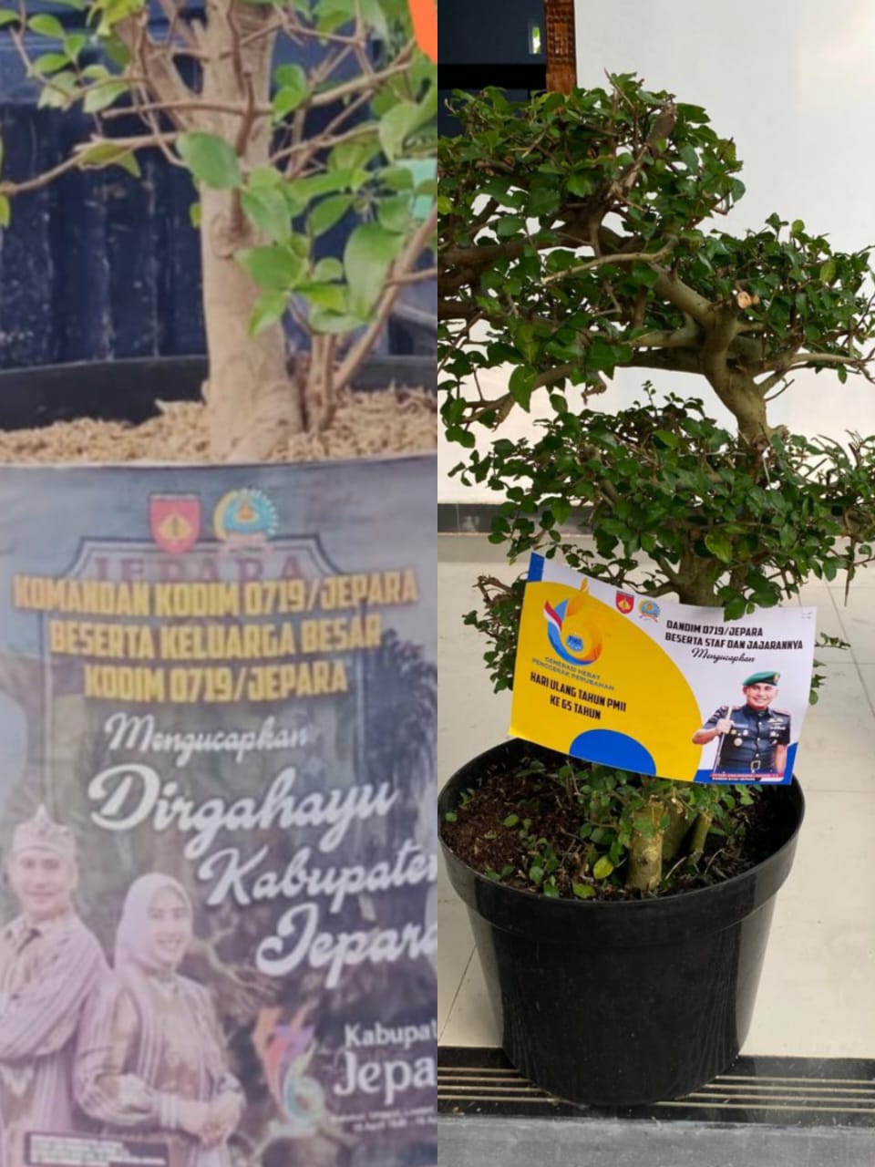 Visioner dan Ramah Lingkungan, Kodim 0719 / Jepara Alihkan Ucapan Selamat dari Karangan Bunga ke Tanaman Hidup