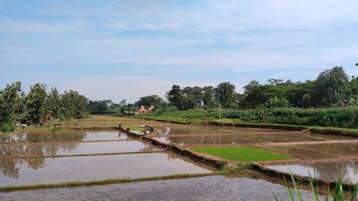 Satgas TMMD Reguler ke-124 Kodim 0719 / Jepara Tinjau Lahan Kompi Produksi Ketahanan Pangan di Bumi Perkemahan Pemda Jepara