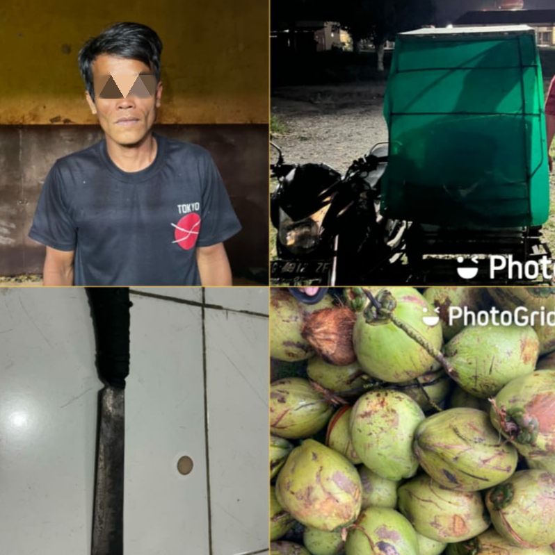 Melanggar Pasal 363 KUHP, Pencuri Kelapa Kini Meringkuk di Tahanan Polsek Indralaya