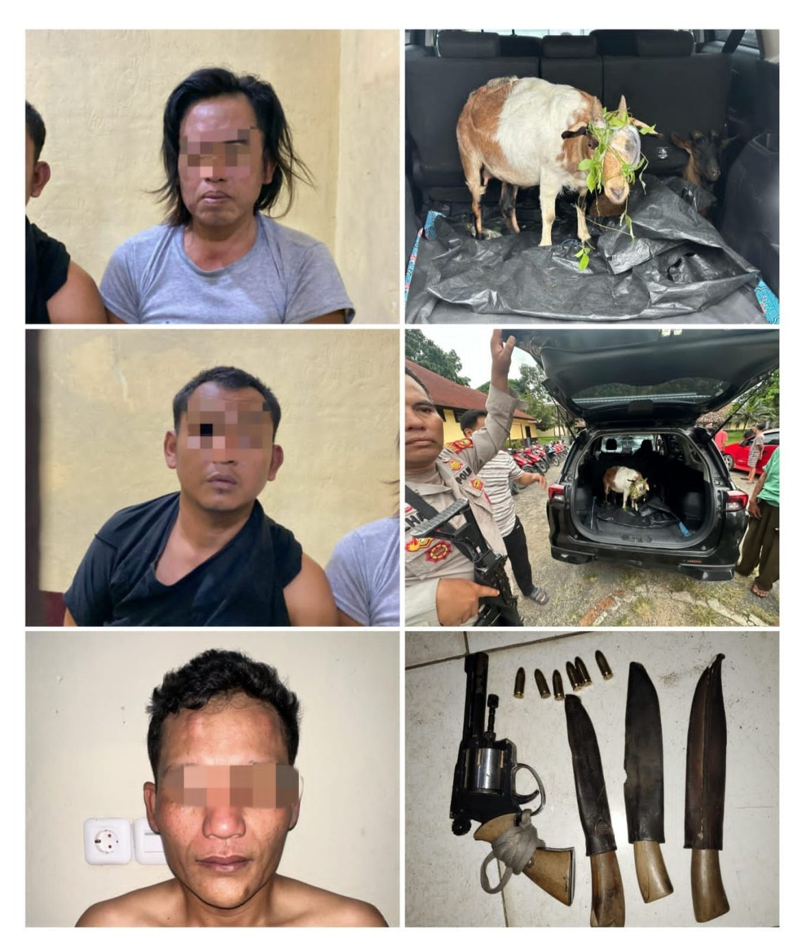 Bergerak Cepat, dan Segera Respon Pengaduan Masyarakat, Polsek Tanjung Raja Berhasil Tangkap Tiga Pelaku Pencuri Hewan serta Sita Senpira dengan 6 Butir Amunisi Aktif