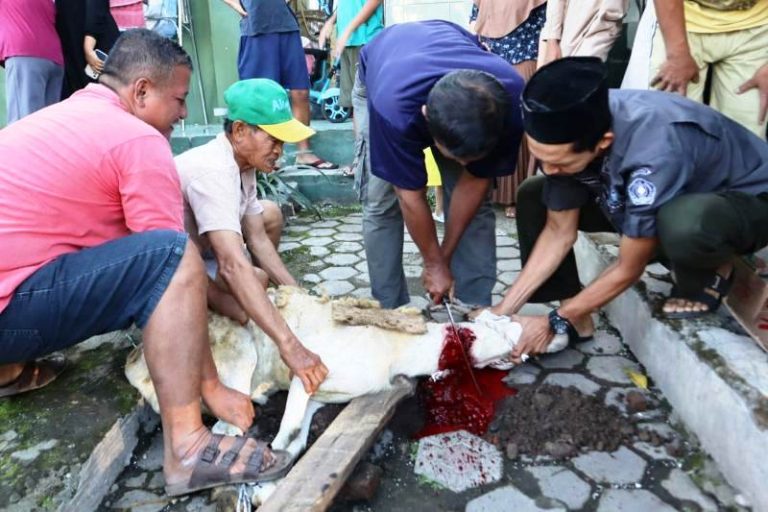 A-PPI Magelang Raya: Idul Adha 2025 Diprediksi Jatuh pada Bulan Juni, Ini Jadwal Libur dan Makna Ibadah Kurban