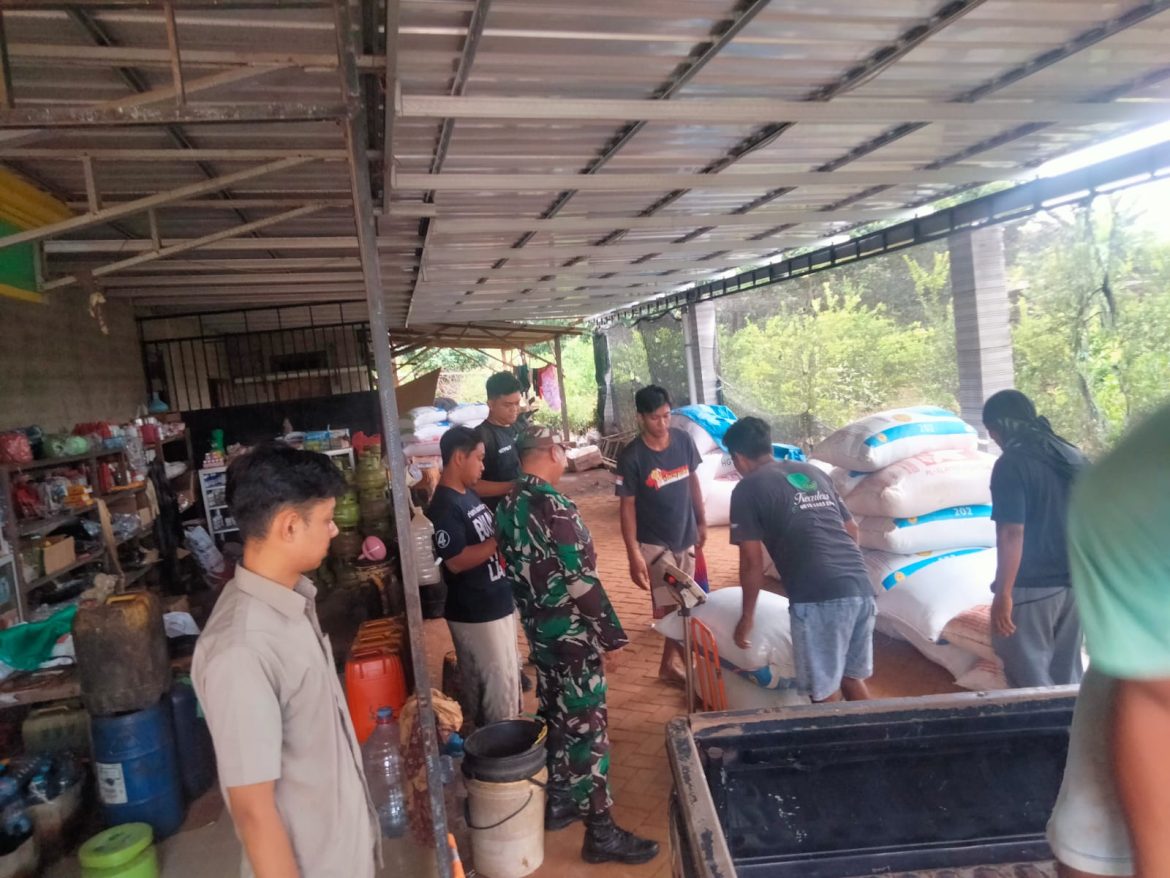 Satgas Swasembada Pangan untuk Pendampingan Babinsa Dalam Rangka Serapan Gabah Petani di Wilayah