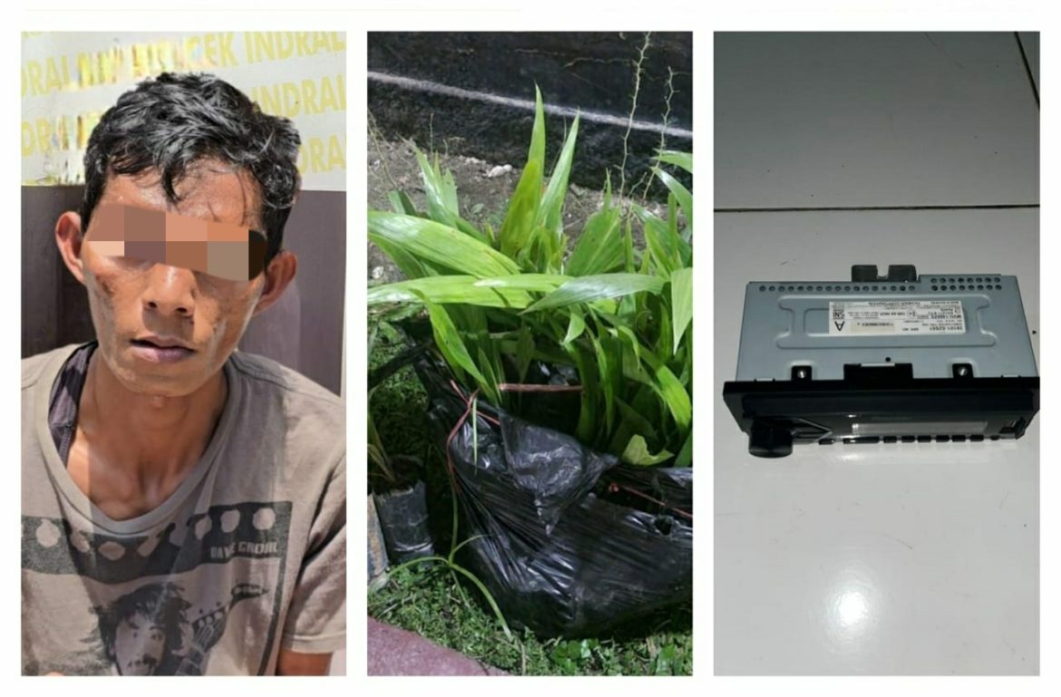 Berantas Tindak Pidana, Tim Tekab 156 Polsek Indralaya Kembali Amankan Pelaku Pencurian