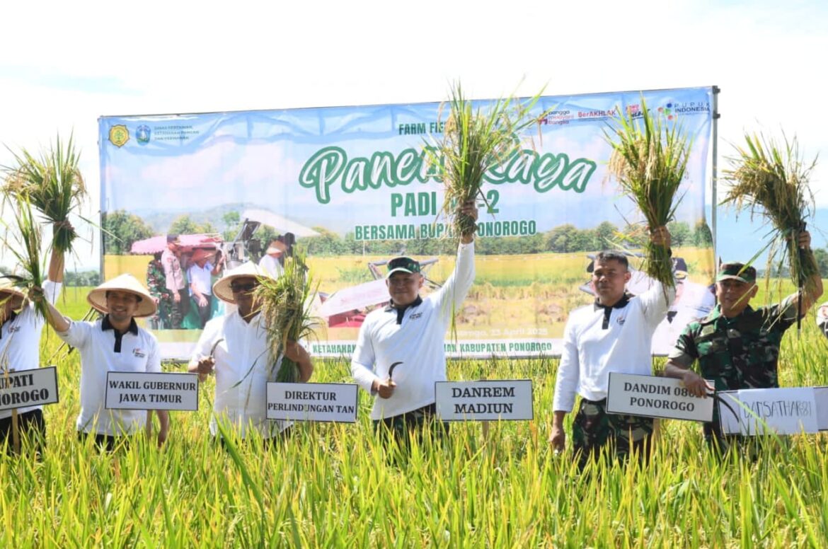 Genjot LTT di Ponorogo, Danrem Optimis Target Produksi Padi 400 Ribu Ton Tercapai