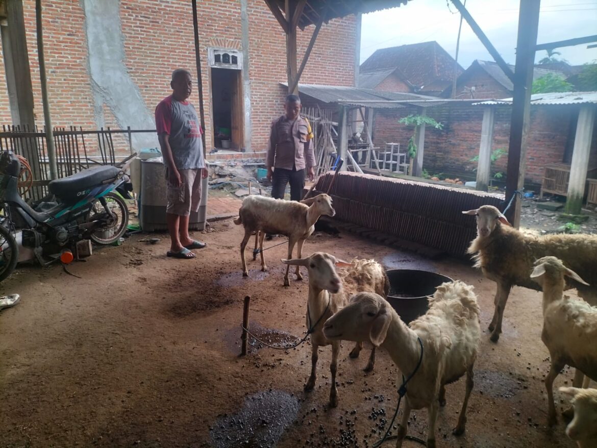 Pemantauan Ternak Dukung Ketahanan Pangan di Mabung
