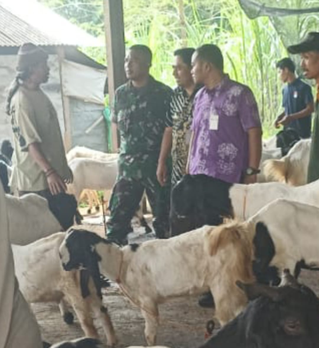 Danramil 03 / Batealit Hadiri Pemeriksaan Kesehatan Hewan Jelang Idul Adha di Pasar Mindahan