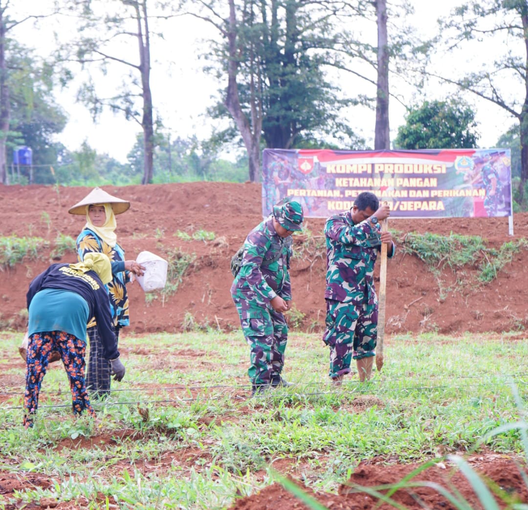 Inovasi TMMD 124: Kodim Jepara Hadirkan Kompi Ketahanan Pangan, Bukti TNI Membangun dari Desa