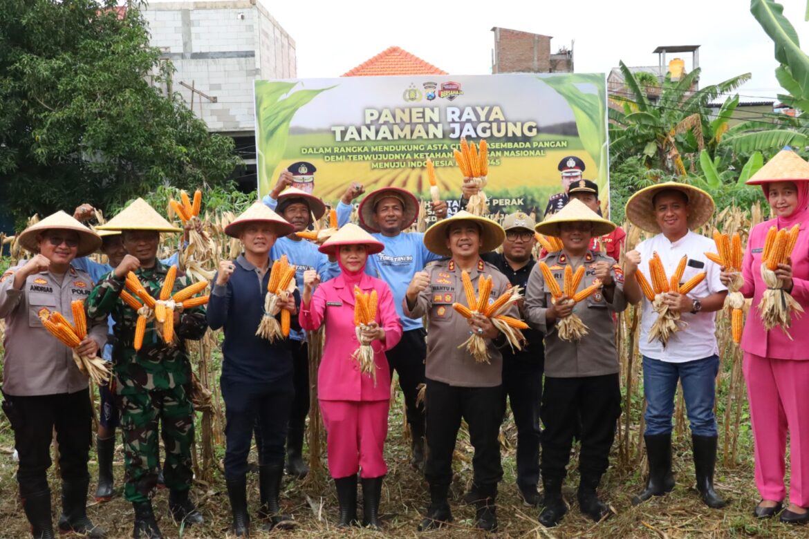 Polres Pelabuhan Tanjung Perak Panen Raya Jagung Tahap 7, Perkuat Ketahanan Pangan Menuju Indonesia Emas