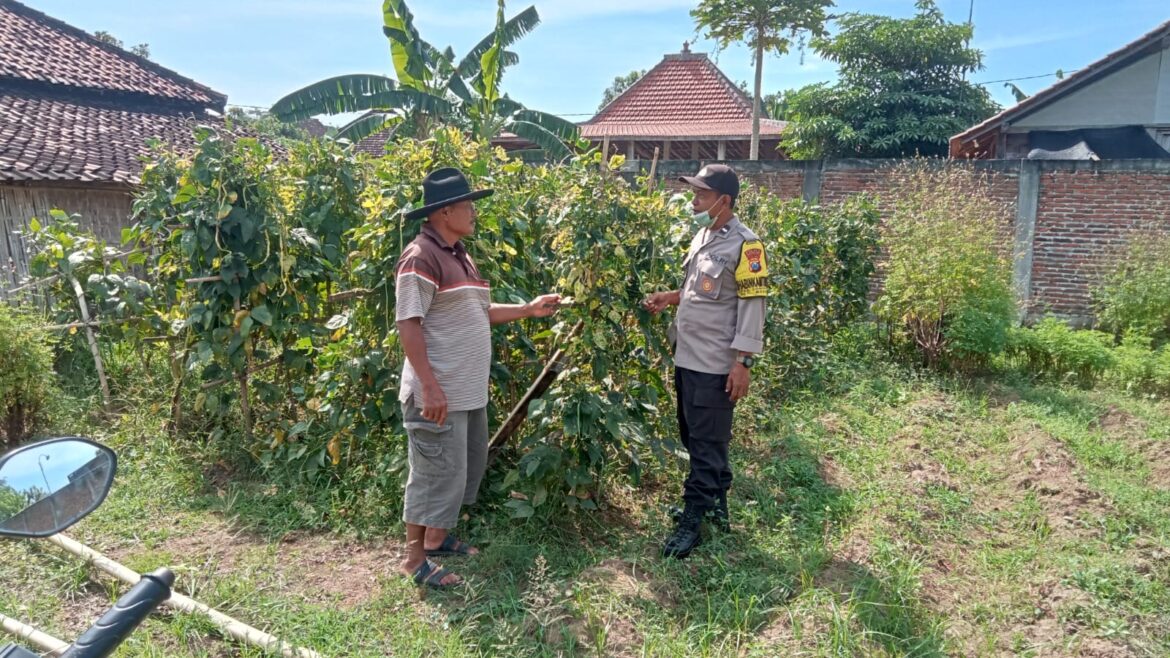 Polres Nganjuk Dukung Ketahanan Pangan, Manfaatkan Lahan Pekarangan Warga di Sonopatik
