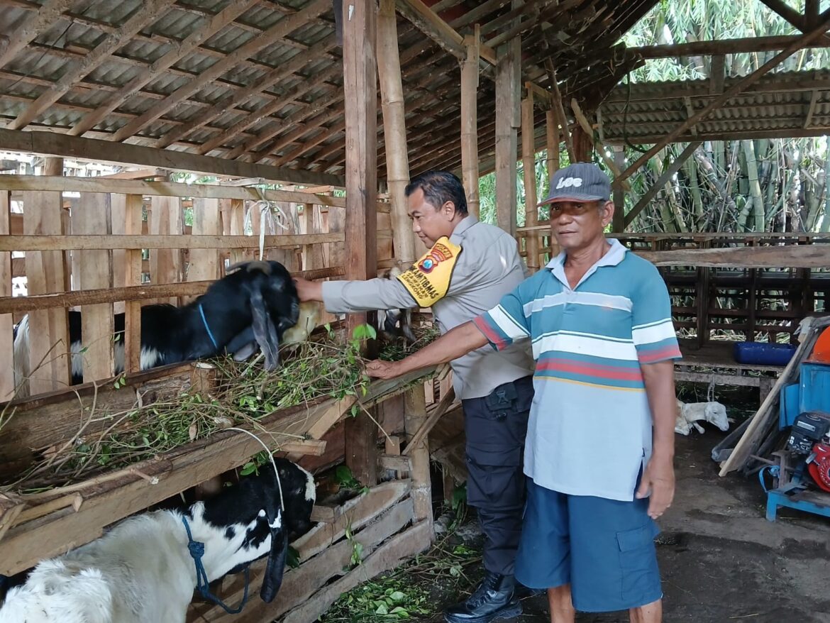 Bhabinkamtibmas Sawahan Tinjau Peternakan Warga Dukung Ketahanan Pangan