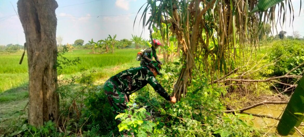 Babinsa Koramil 0817/11 Duduksampeyan Bersama Warga Desa Sumari Laksanakan Kerja Bakti