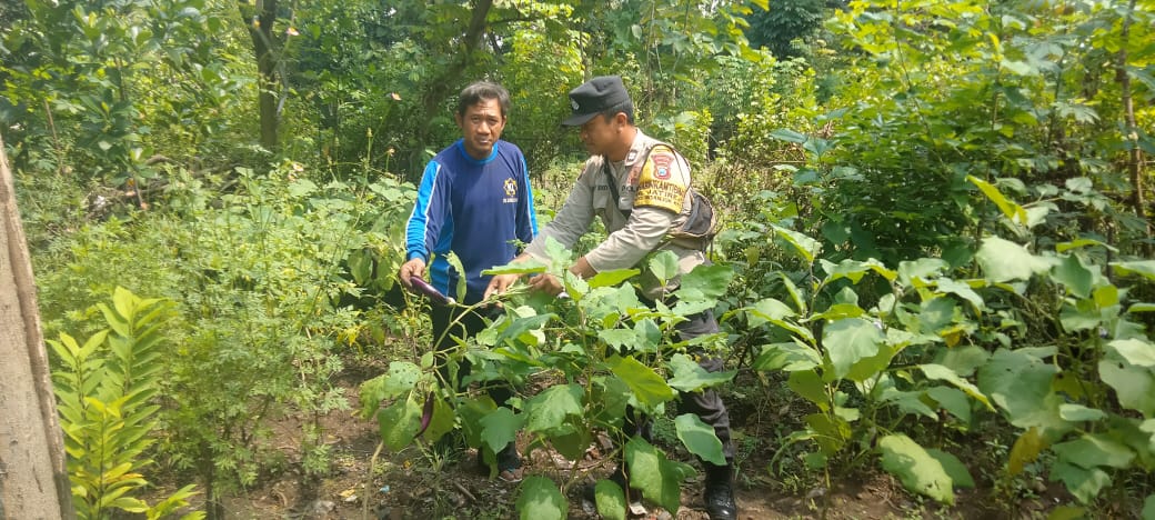 Polsek Nganjuk Kota Dukung Ketahanan Pangan Lewat Pemanfaatan Lahan Perkarangan