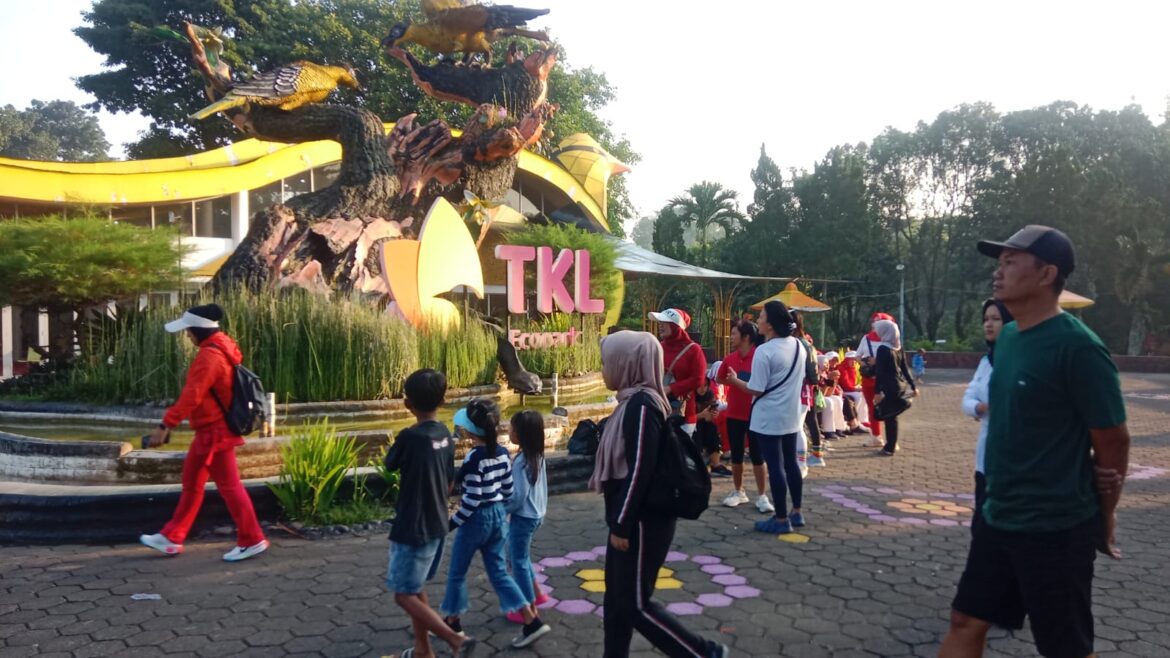 TKL Ecopark: Wisata Edukatif, Sejuknya Alam, dan Napas Hijau Kota Magelang