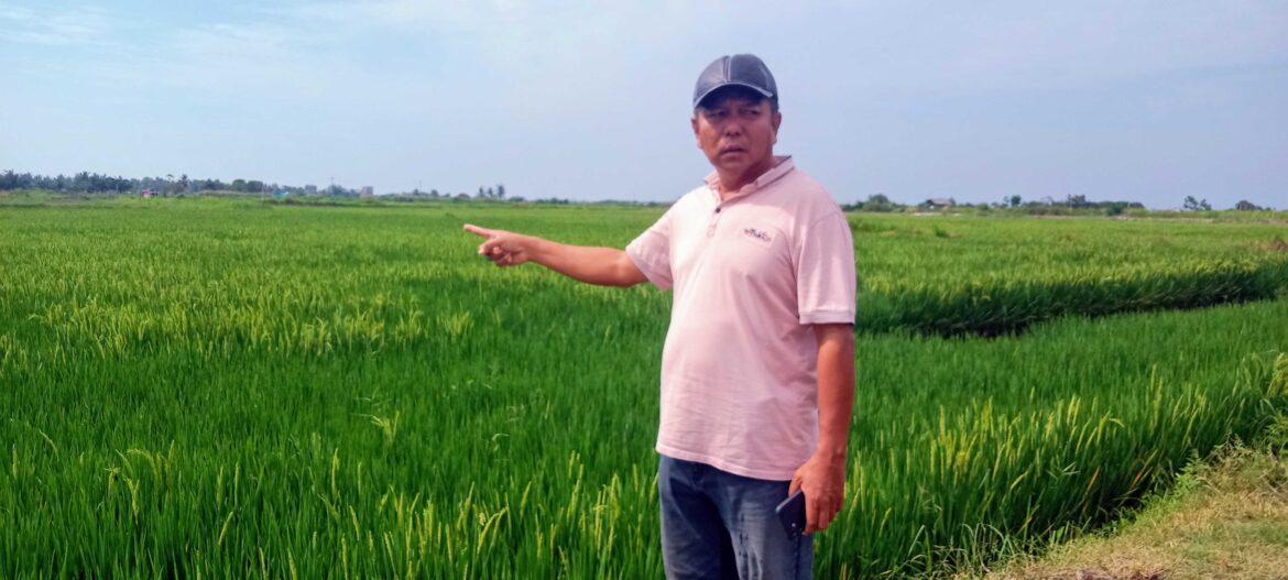 Transformasi Agroekonomi Tambak Dijadikan Sawah H.Aribun Sayunis :  Meningkatkan Produktivitas Pertanian Dan Efisiensi