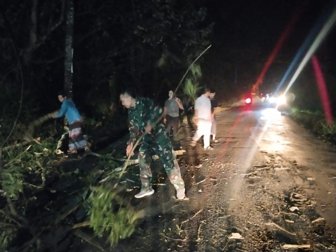Babinsa Guyangan Serda Sugiyarto Bantu Evakuasi Pohon Tumbang di Jalan Guyangan Km 5