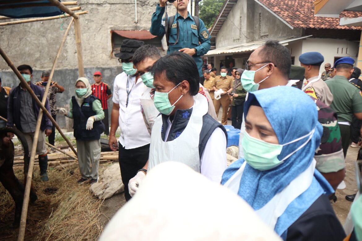 Wali Kota Cirebon Pastikan Hewan Kurban Aman dan Sehat Jelang Idul Adha