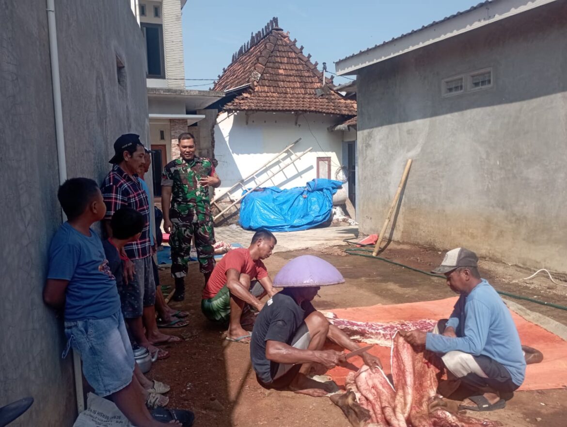 Babinsa Desa Dermolo Laksanakan Pemantauan Wilayah dan Komsos di Lokasi Pemotongan Hewan Qurban